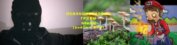 твердый Алексеевка
