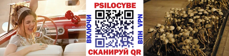 Псилоцибиновые грибы GOLDEN TEACHER  купить  цена  mega рабочий сайт  Владивосток 